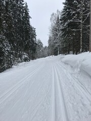 snow covered road