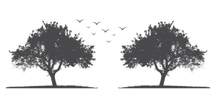 Tree silhouette vector on a white background