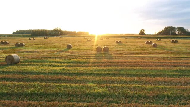 Idyllic picturesque summer landscape countryside at sunset on summer evening. Flying at sun over agricultural field after harvesting with hay rolls to rural road and cornfield. Sun rays shine