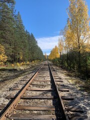 Fototapeta premium railway in autumn