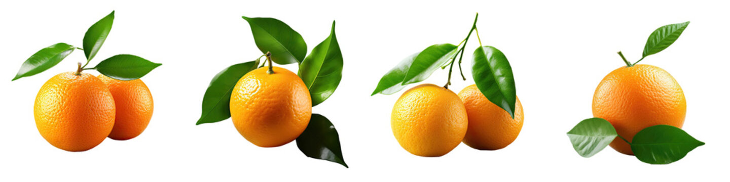 Dekopon or sumo mandarin tangerine with leaves isolated on a transparent background with clipping path