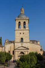 Fototapeta na wymiar Santa Maria de Ciudad Rodrigo cathedral, Ciudad Rodrigo, Salamanca, Castilla y Leon, Spain