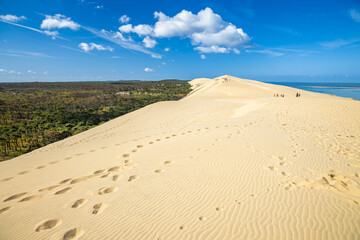 Panorama on the Dune du Pilat on a summer day in La Teste-de-Buch, France 
