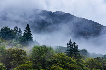 Low cloud and mist over a forest with mountain backdrop (Glencoe, Scotland) - obrazy, fototapety, plakaty