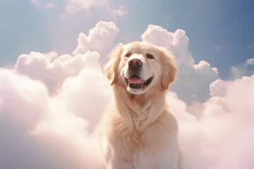golden retriever senior dog/pet/animal companion in a natural landscape setting surrounded by clouds and blue sky representing pet loss, grief, rainbow bridge - generative ai art - obrazy, fototapety, plakaty