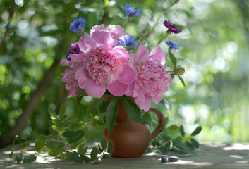 Still life with fresh flowers of pink peonies and blue cornflowers in a clay jug in the sunlit summer garden