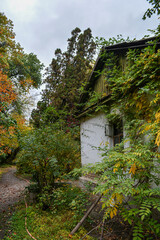Fototapeta na wymiar old house in the autumn park with yellow trees