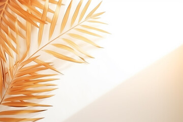 Shadow of palm leaf on white background