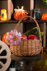 Autumn pumpkin decor. Halloween, harvest of orange pumpkins