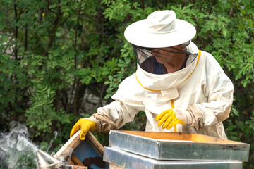 A beekeeper in a protective suit and gloves working on the apiary. Eco apiary in nature. Beekeeping. A house for bees.