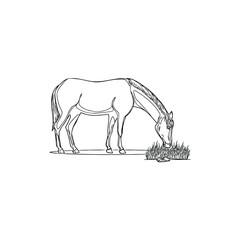 Sketch of horse eating grass art vector illustration