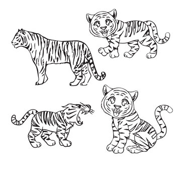 Illustration of Cute Little Tiger for Coloring Book.