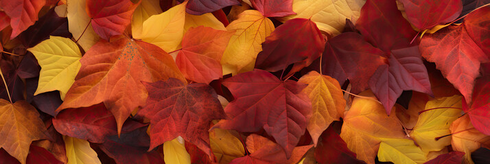 Naklejka na ściany i meble Autumnal Beauty: Textured Fall Leaves