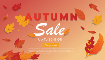 autumn sale background layout decorated with leaves of autumn for a shopping sale or banner, promo poster, frame leaflet, or web. Vector illustration.