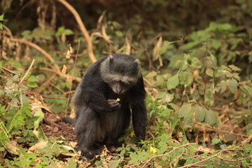 Nel cuore dell'Africa