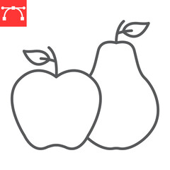 Pear and apple line icon , thanksgiving and food, sweet fruits vector icon, maize vector graphics, editable stroke outline sign, eps 10.