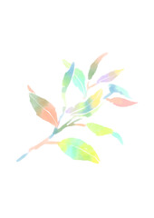 優しい雰囲気の水彩で描いたカラフルな枝葉(PNG)