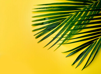 Photo green palm leaves on yellow background with copy space for text