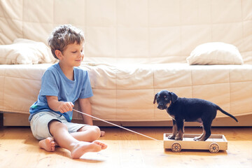 A boy with a little dog playing at home. - 642084174