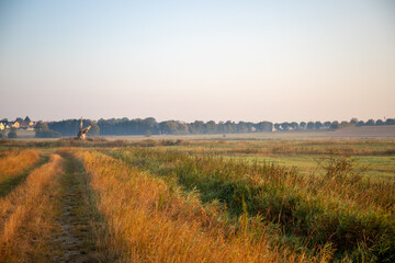 Fototapeta na wymiar Panoramic view in the morning of an Agra field with light fog