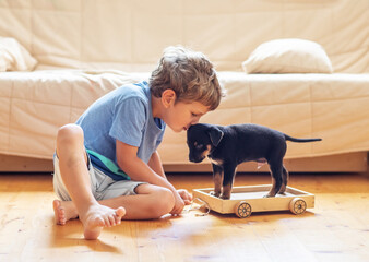 A boy with a little dog playing at home. - 642084339