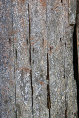 une ancienne planche de bois, très rugueuse et texturé avec de la mousse et des troues