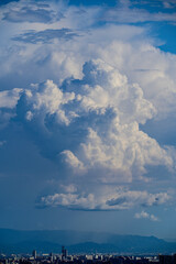 夏の雲