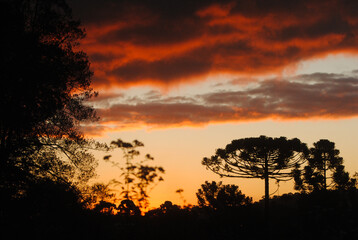 Fototapeta na wymiar Sky Sunset