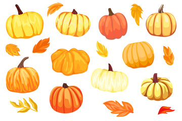  Set of different pumpkins, autumn season, autumn leaves, clip art, cartoon pumpkins for holiday decoration