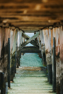 Under Pier Vector