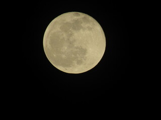 Fototapeta premium Zoomed in on the full moon, night wonder 