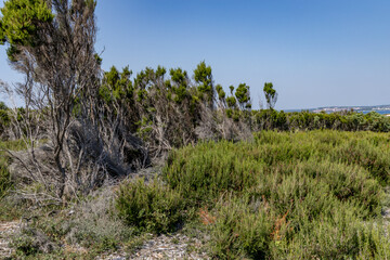 Sightseeing routes and landscape on the Kamenjak Peninsula