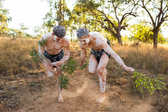 Young aboriginal men dancing with gum leaves and ochre body paint on country wearing lap laps