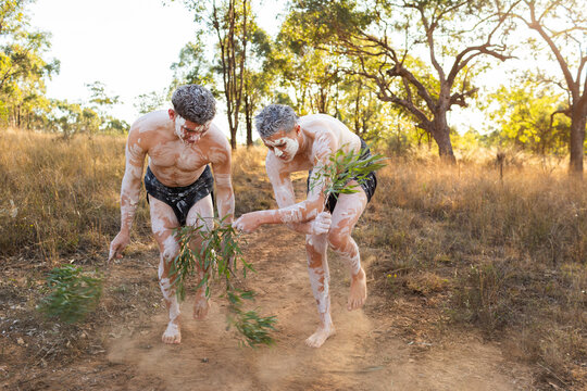 Young aboriginal men dancing with gum leaves and ochre body paint on country wearing lap laps