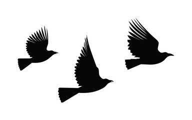 A flock of birds in flight. Black silhouettes isolated on white background. Vector illustration