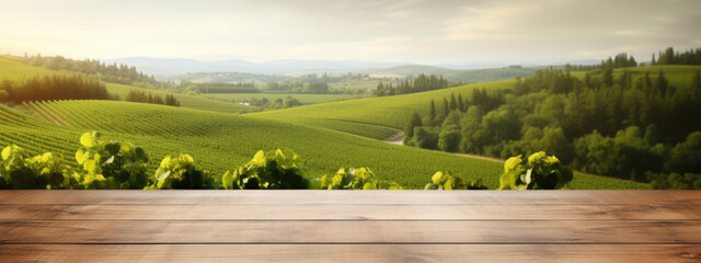 Empty wooden table on background of vineyard, in a sunny day