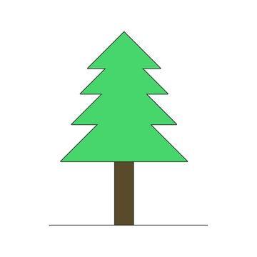 A  green winter spruce tree is used on Christmas as a standing Christmas tree. 