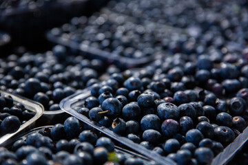 close up of fresh berries at the markets