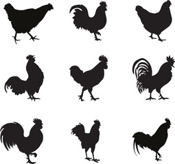 Chicken Silhouette Vector Pack