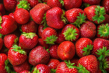 picked fresh ripe strawberries close up