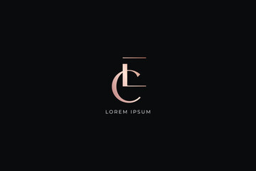 Ec modern style fashion brand luxury style design modern style creative golden wordmark design typography illustration, ce minimalist, ec logo