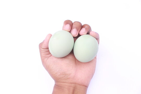 hand holding two duck eggs isolated on white background
