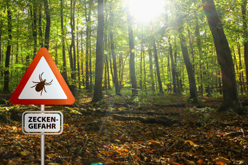 Warning sign for infected ticks in a forest. Risk of tick and Lyme disease.