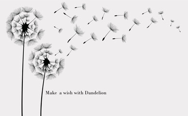 Vector illustration dandelion seed blowing in the wind