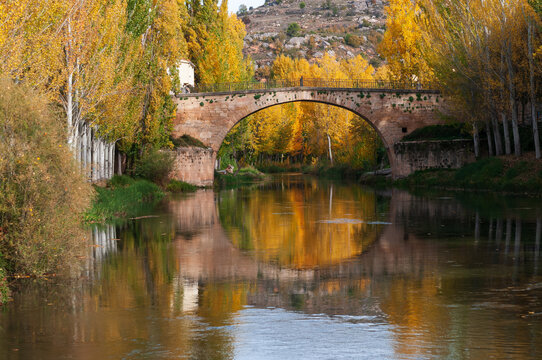 Paisaje oto&ntilde;al del r&iacute;o Tajo con chopos amarillos y el puente de Trillo reflejado en el agua, Guadalajara, Espa&ntilde;a.