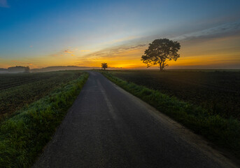 Fototapeta premium Al amanecer 