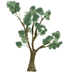 Organic green tree illustration