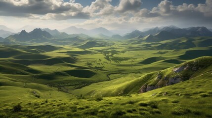 Naklejka premium Panorama view of valley with wild flower and clear sky