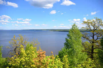 trees with multicolored leaves on the edge of the river in sunny day copy space