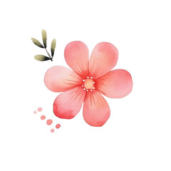 Watercolor red flower illustration. Hand painting flowers.